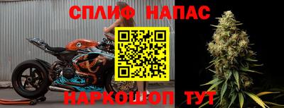 прущие грибы Апрелевка