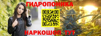 прущие грибы Апрелевка