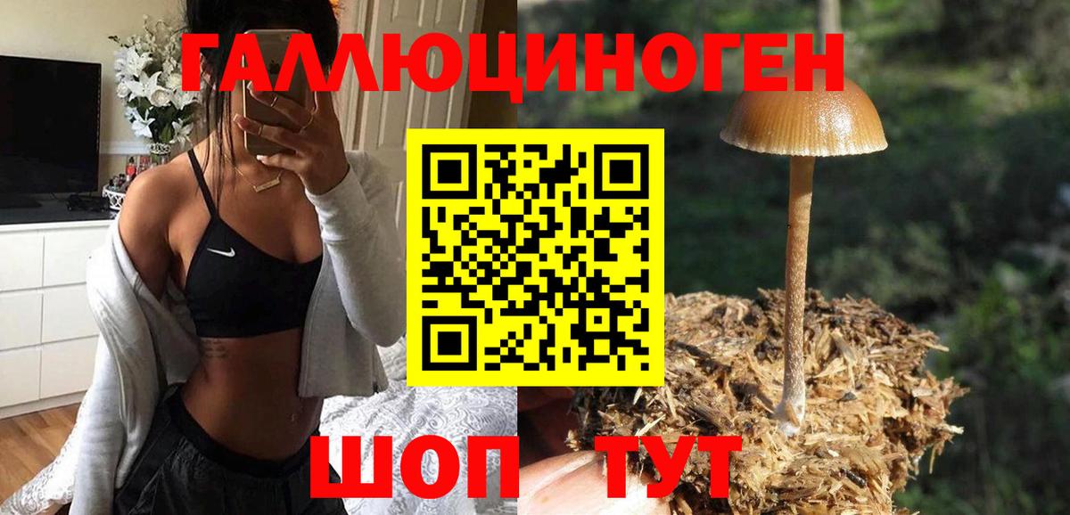 Псилоцибиновые грибы Psilocybine cubensis Сарапул