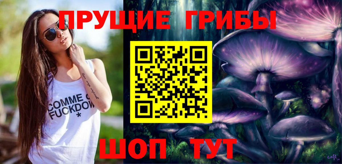 Галлюциногенные грибы Psilocybine cubensis Сарапул